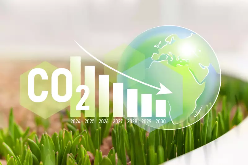 Co 2 2024 2030